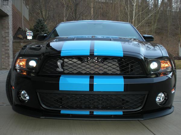PS: Black Gt/Boss with Grabber Blue.  Thoughts?-2-9-12-tint11.jpg
