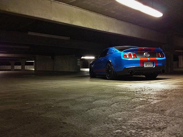 Black out panel &amp; rear light trim-shelby-back-shot.jpg