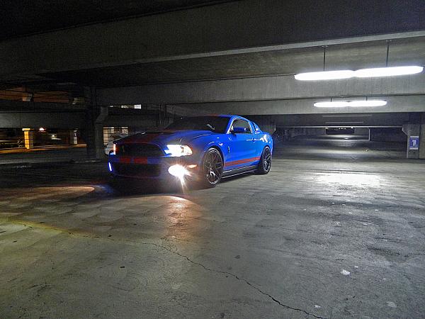 Black out panel &amp; rear light trim-shelby-front-shot.jpg