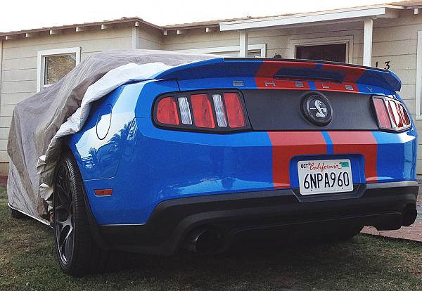 Black out panel &amp; rear light trim-grabber-blue-red-gt500-2.jpg