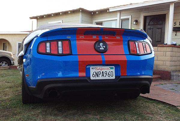 Black out panel &amp; rear light trim-grabber-blue-red-gt500-3.jpg