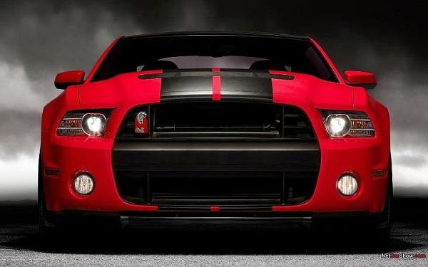 Is it a bird? Is it a plane?-image-2116881764.jpg