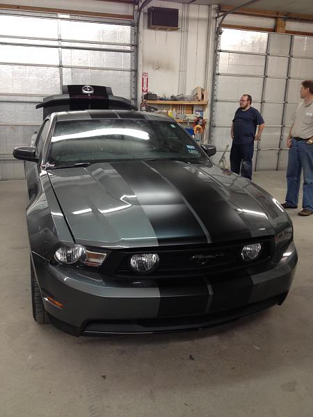 Blessing in Disguise! (Pics of Custom Painted Stripes)-stripes3.jpg