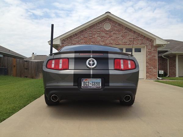 Blessing in Disguise! (Pics of Custom Painted Stripes)-photo-7-.jpg