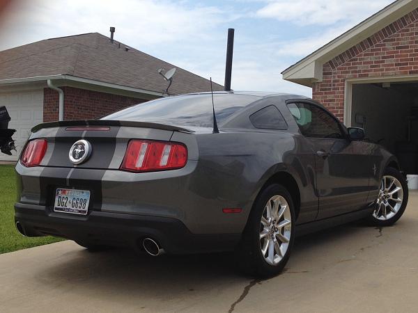 Blessing in Disguise! (Pics of Custom Painted Stripes)-photo-10-.jpg