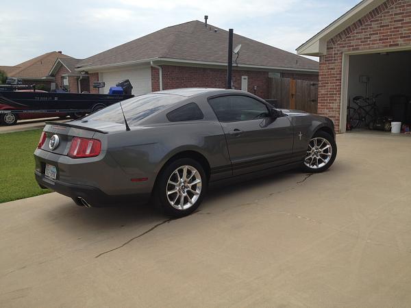 Blessing in Disguise! (Pics of Custom Painted Stripes)-photo-11-.jpg