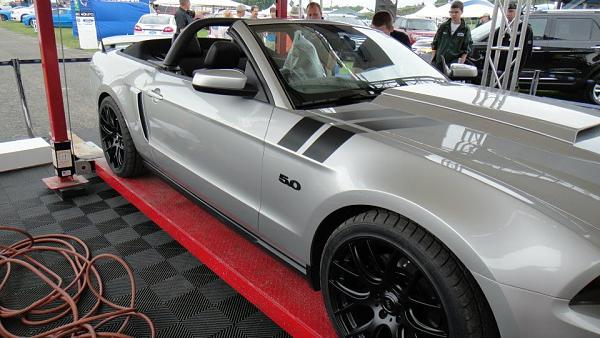 Front Fender stripes-598637_477277868955606_1911224543_n.jpg