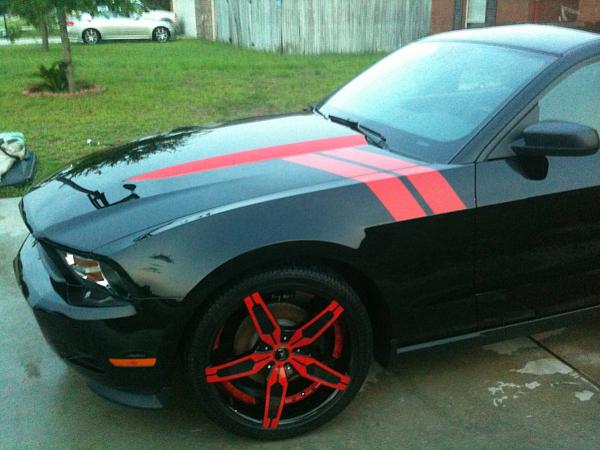 Front Fender stripes-image-1654129785.jpg