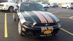 Name:  ForumRunner_20120618_100211.jpg
Views: 325
Size:  21.9 KB