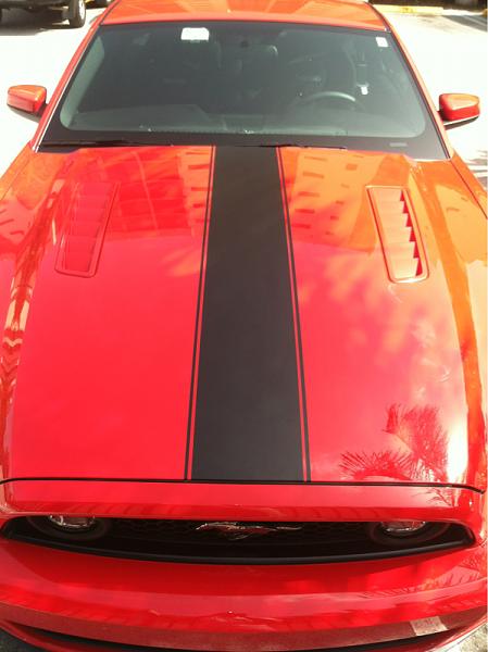 New hood stripes-image-2748310694.jpg