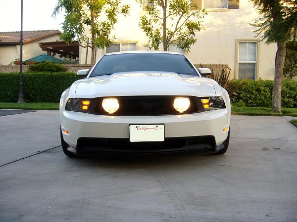 Agressive changes with pasti dip-p1020686.jpg