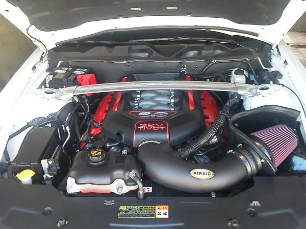 Putting some color under the hood-mustang-engine-9-15-12.jpg