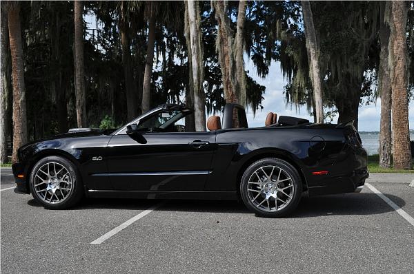 Roush Front Spoiler &amp; Cobra Jet Emblems Added-dsc_0001.jpg