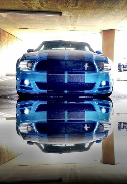 California Special Fog Lights-image-3542923314.jpg