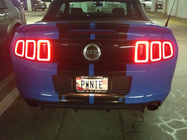 My custom plate came today!-image-3363912435.jpg