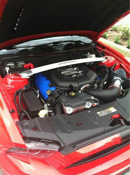 Painted strut brace-image-3214645040.jpg