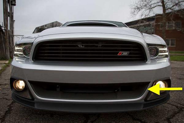 Roush Lower Performance Grille?-roush_open_lower_grille.jpg