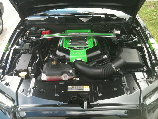 Put some color under the hood-image-1117544281.jpg