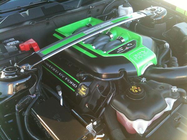 Put some color under the hood-image-3476934714.jpg