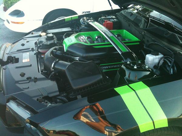 Put some color under the hood-image-1269840587.jpg