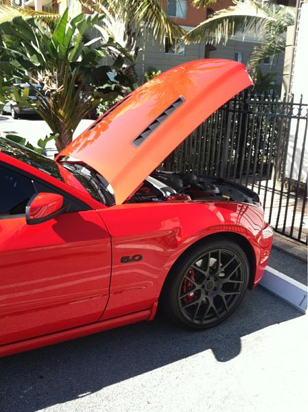 Thoughts on roof wrap?-image-3581061699.jpg