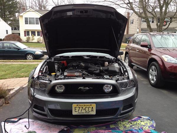 Ordered Starkey V6 Foglight Kit-319650_10151332397981101_1480425360_n.jpg