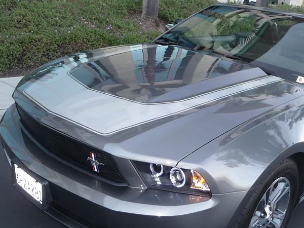 Hood decal-p1120277.jpg
