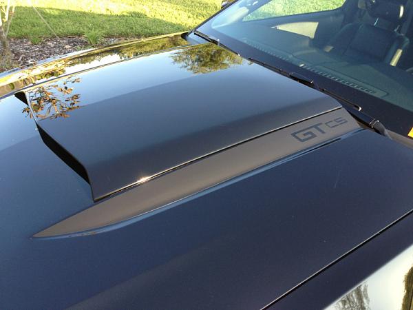 Hood Scoop &amp; Spears Stripe Decals-image-3625096934.jpg