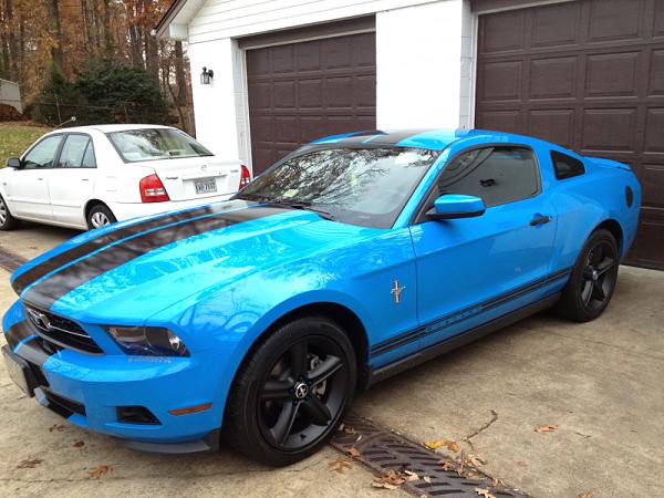 Post your Mustang StripeS , pictures &amp; discussion in here-image-721568080.jpg
