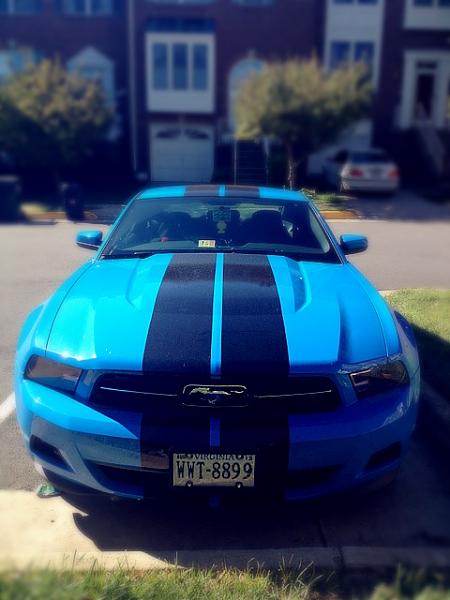 Post your Mustang StripeS , pictures &amp; discussion in here-image-2382091063.jpg