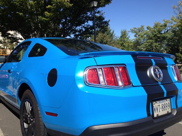 Post your Mustang StripeS , pictures &amp; discussion in here-image-1805592397.jpg
