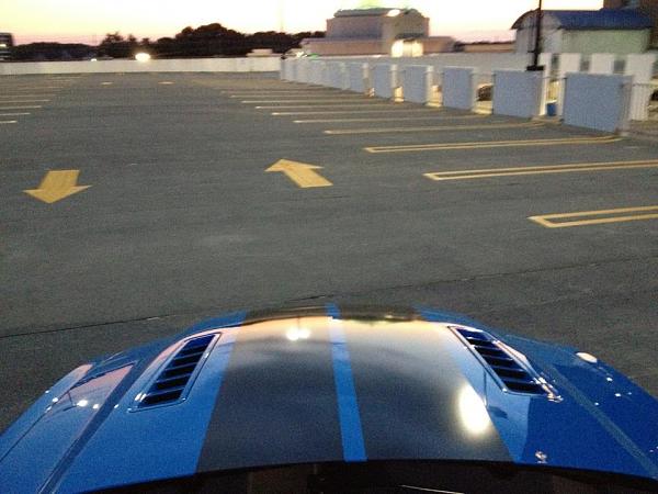 Post your Mustang StripeS , pictures &amp; discussion in here-426238_10151244923577953_656164133_n.jpg