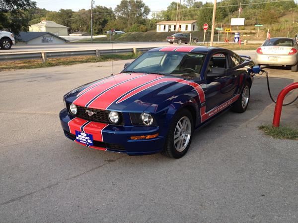 Post your Mustang StripeS , pictures &amp; discussion in here-image-1015754238.jpg