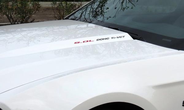 Eleanor Front Grille Installed-img_1094.jpg