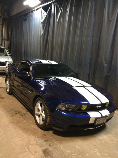 Post your Mustang StripeS , pictures &amp; discussion in here-image-2580558263.jpg