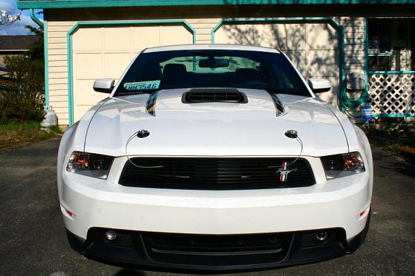 Post your Mustang StripeS , pictures &amp; discussion in here-hoodpins.jpg
