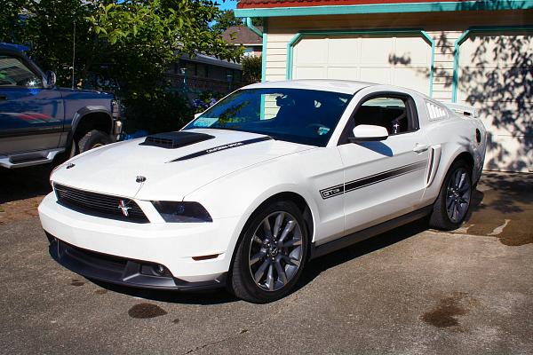 Quarter Window Louvers....so many to choose from-hi-res.jpg