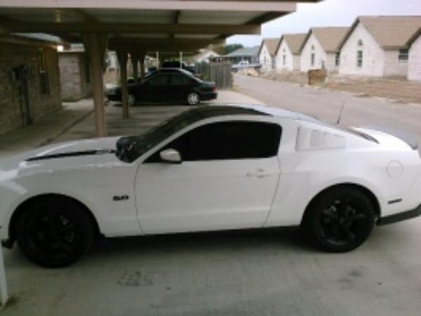 Quarter Window Louvers....so many to choose from-image-108806961.jpg