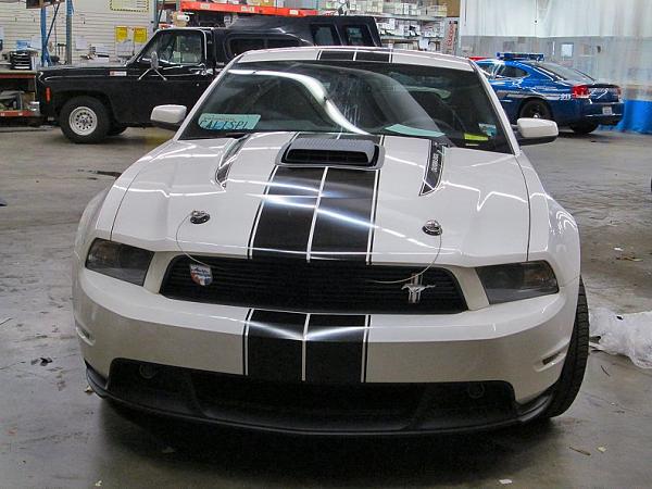 Post your Mustang StripeS , pictures &amp; discussion in here-stripe-tint-3.jpg