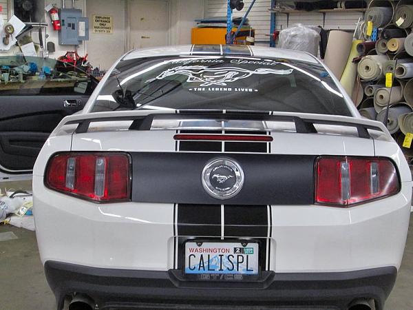 Post your pics of 2010+ Front and Rear Ends-stripe-tint1.jpg