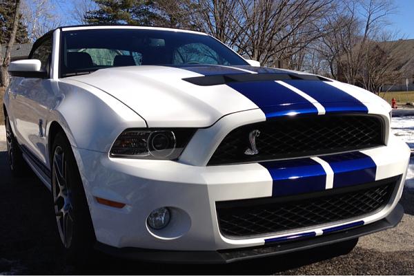 Post your Mustang StripeS , pictures &amp; discussion in here-image-3232514324.jpg