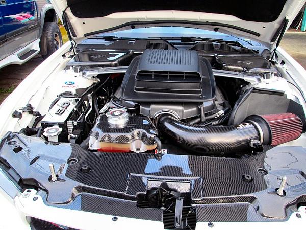 carbon fiber engine dress up started-engine-2013-inp1.jpg