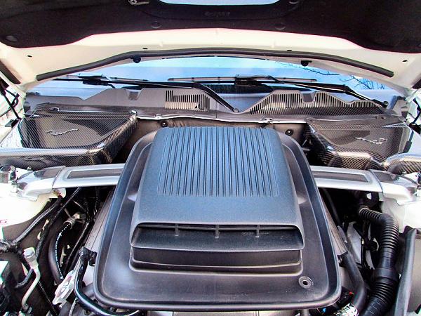 carbon fiber engine dress up started-engine-2013-inp2.jpg