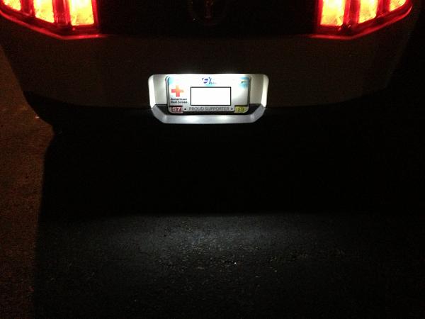 License Plate Lights for  off Amazon (Installed)-sdsvsdvsdvsvdsav.jpg
