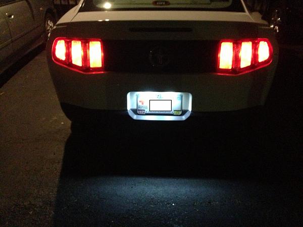License Plate Lights for  off Amazon (Installed)-sdvsdvsavasvsvasvasva.jpg