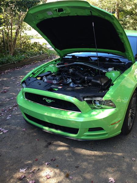 Boss grille install-image-2508441535.jpg