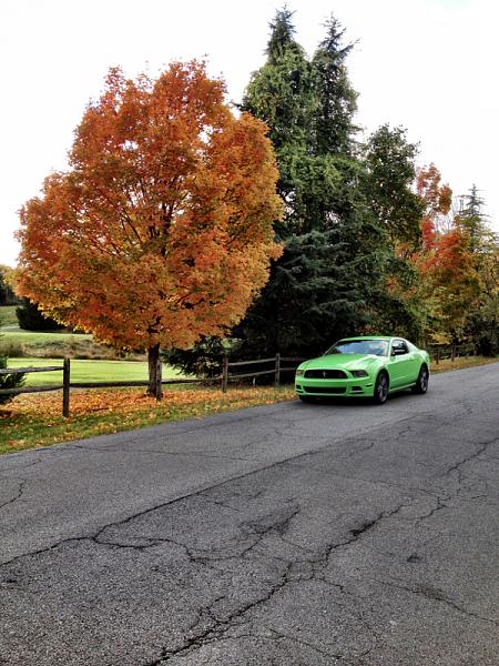 Boss grille install-image-2529345248.jpg