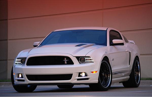 Which wheels?!!-image-182151651.jpg