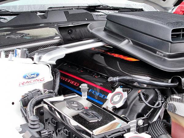 carbon fiber engine dress up started-crbeng5.jpg