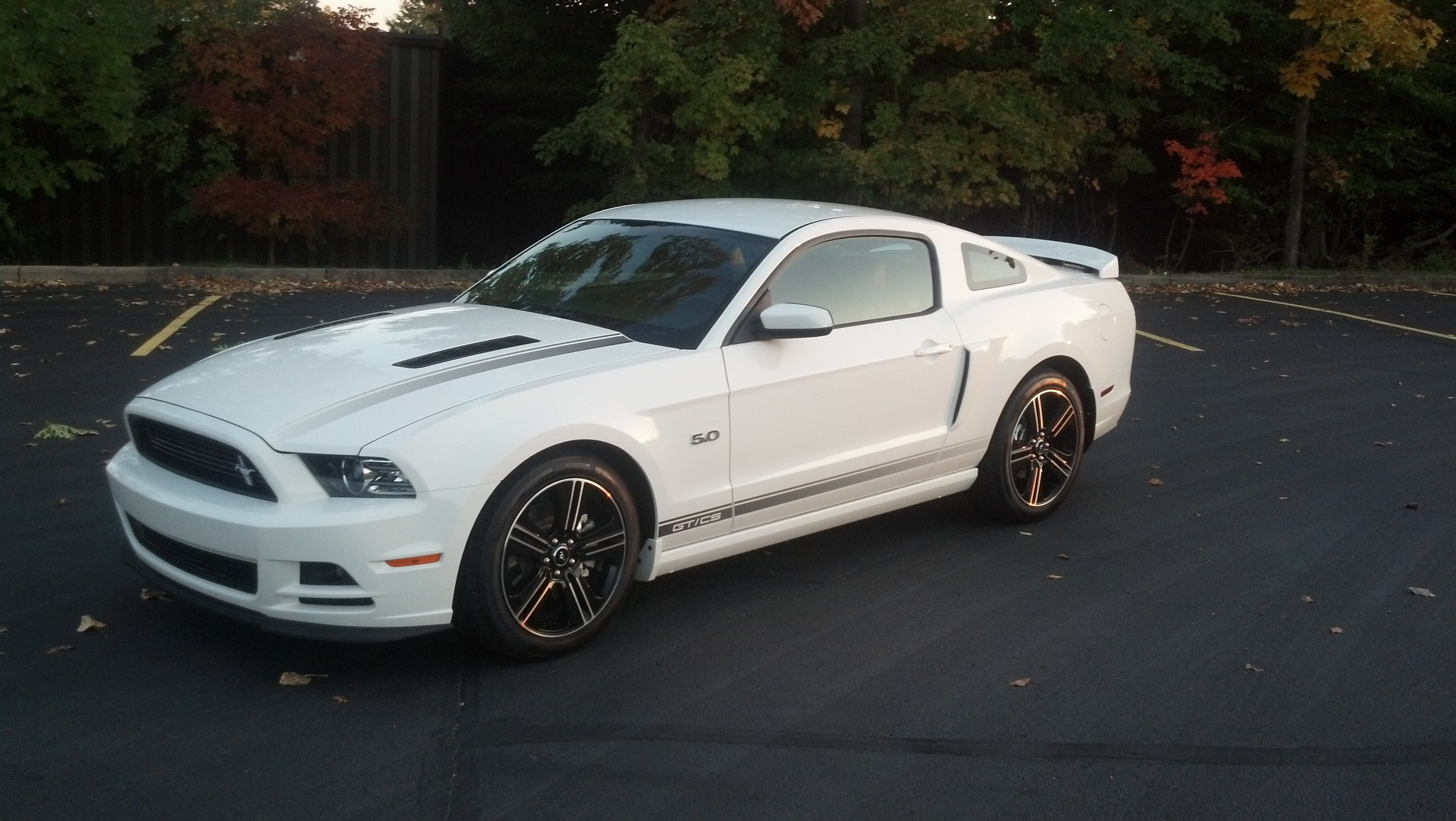 louvers mustang 2012